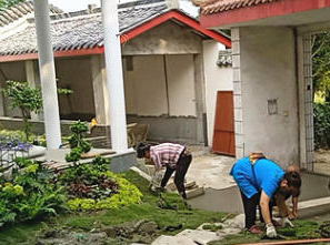 盆景绿植花卉租摆办公室盆栽植物租用摆放园林绿化养护设计施工草